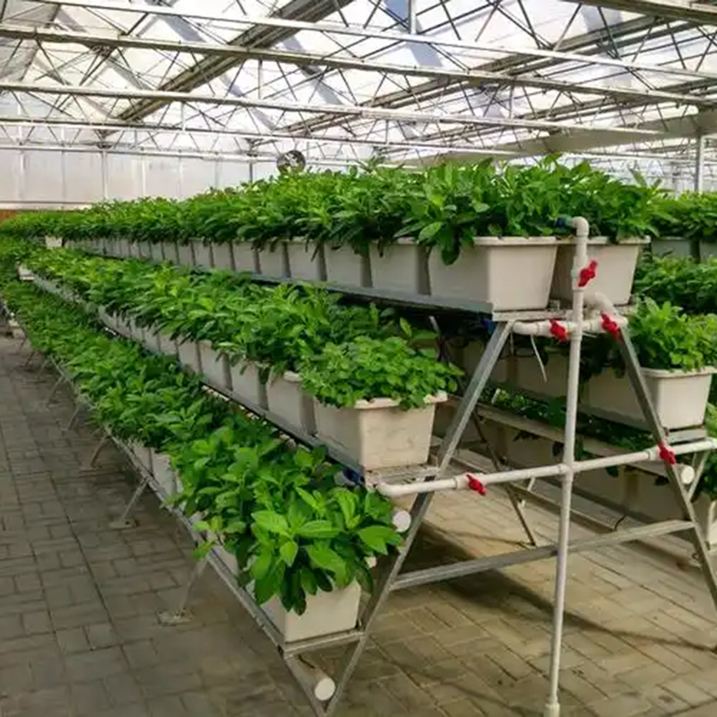常州市植物工厂无土栽培 - 排名